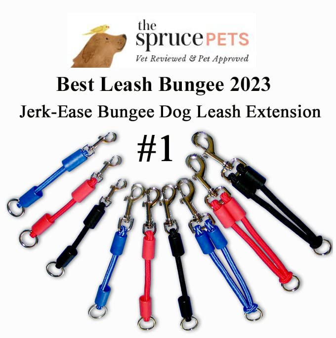 JERK-EASE Bungee on a retractable leash helps maintain steadier tension during daily jogs.