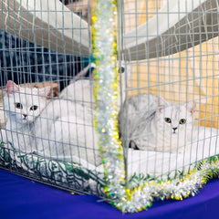 Jetec cat hammock soft flax fleece materials offer warmth and ventilation