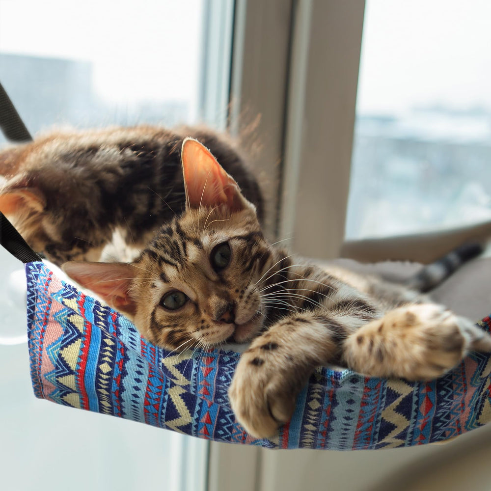 Jetec adjustable straps enable versatile hanging options on chairs or cages.