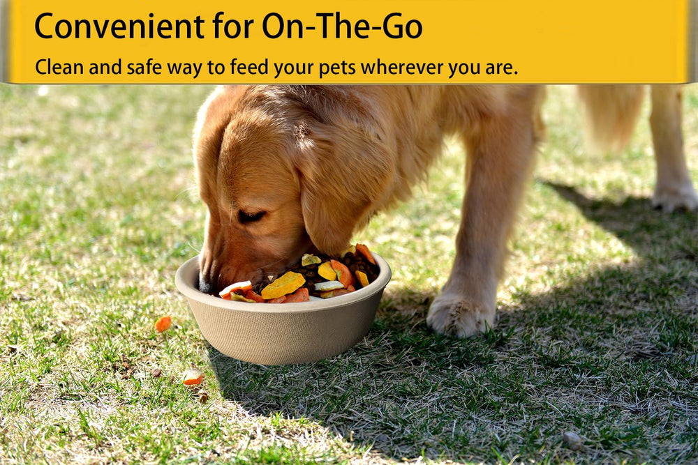 JETKONG bagasse-fiber-material emphasizes compostable construction for pets.