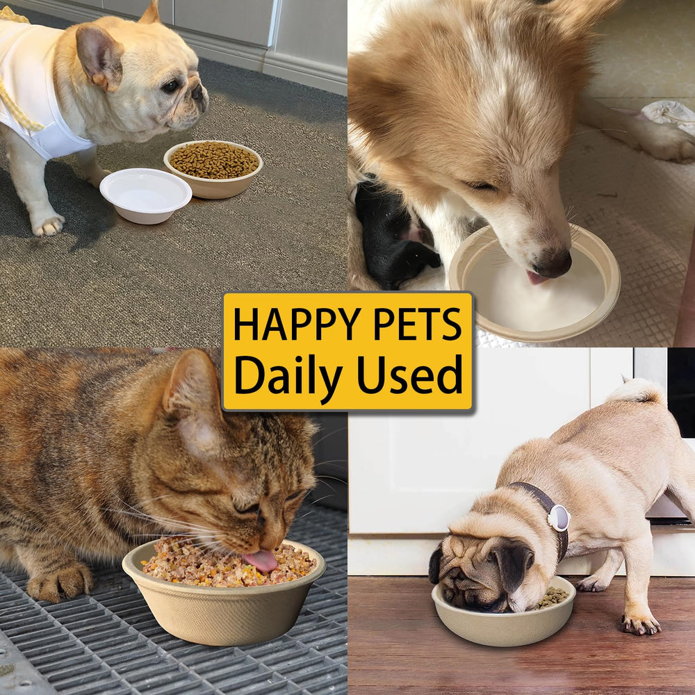 JETKONG leakproof paper bowls show moisture resistance for wet food.