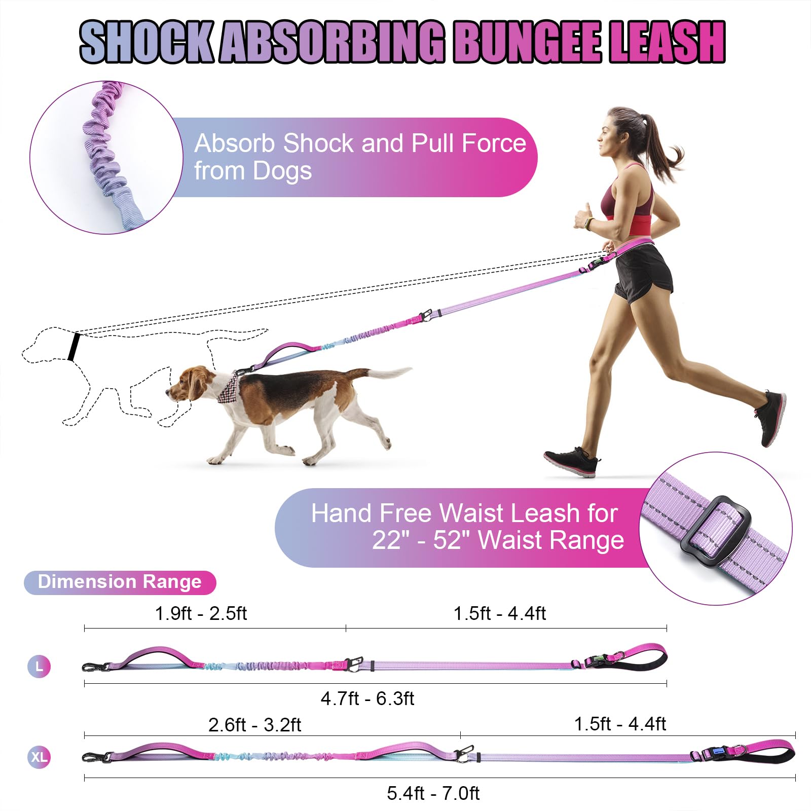 JETOG anti-tangle 360 rotating clasp keeps leash organized and dog close