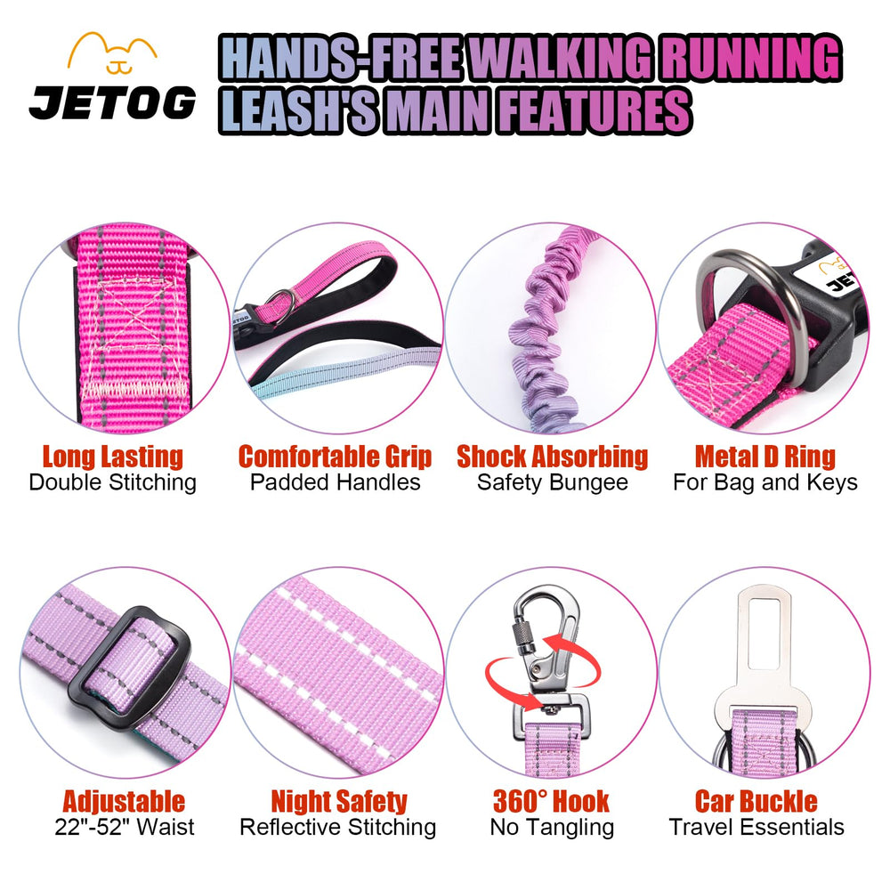 JETOG bungee leash demonstrates shock absorption for smoother walking