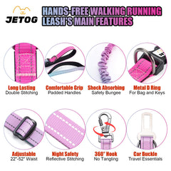 JETOG bungee leash demonstrates shock absorption for smoother walking