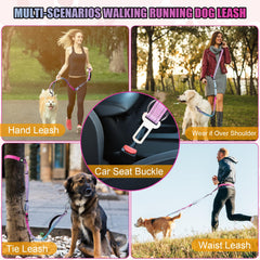 JETOG leash with dual reflective strips enhances night visibility on walks