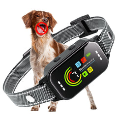 JEUJE Bark Collar worn on a dog, ready for training guidance.