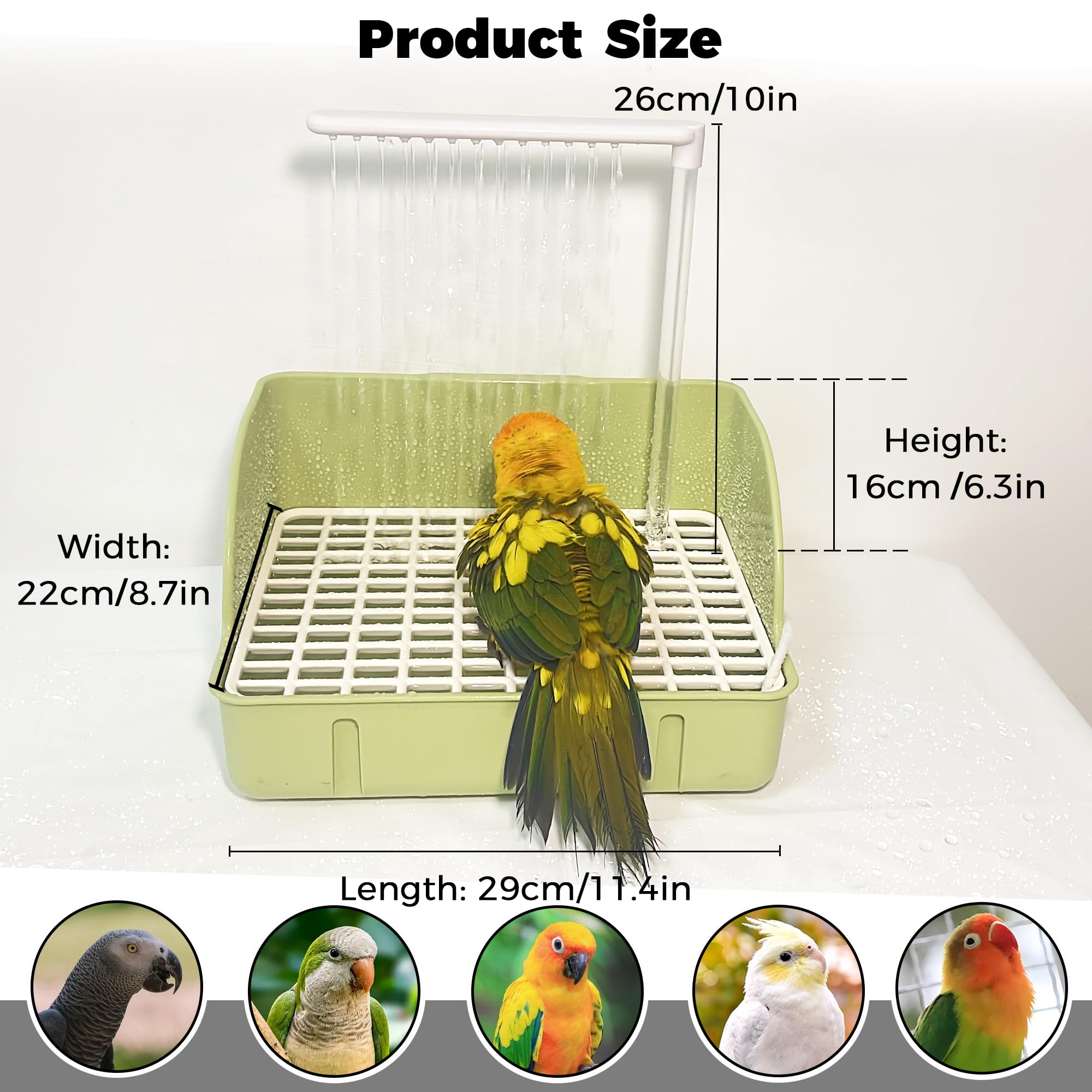 Jevnd dual-function bath and feeder box invites drinking and observing water flow.