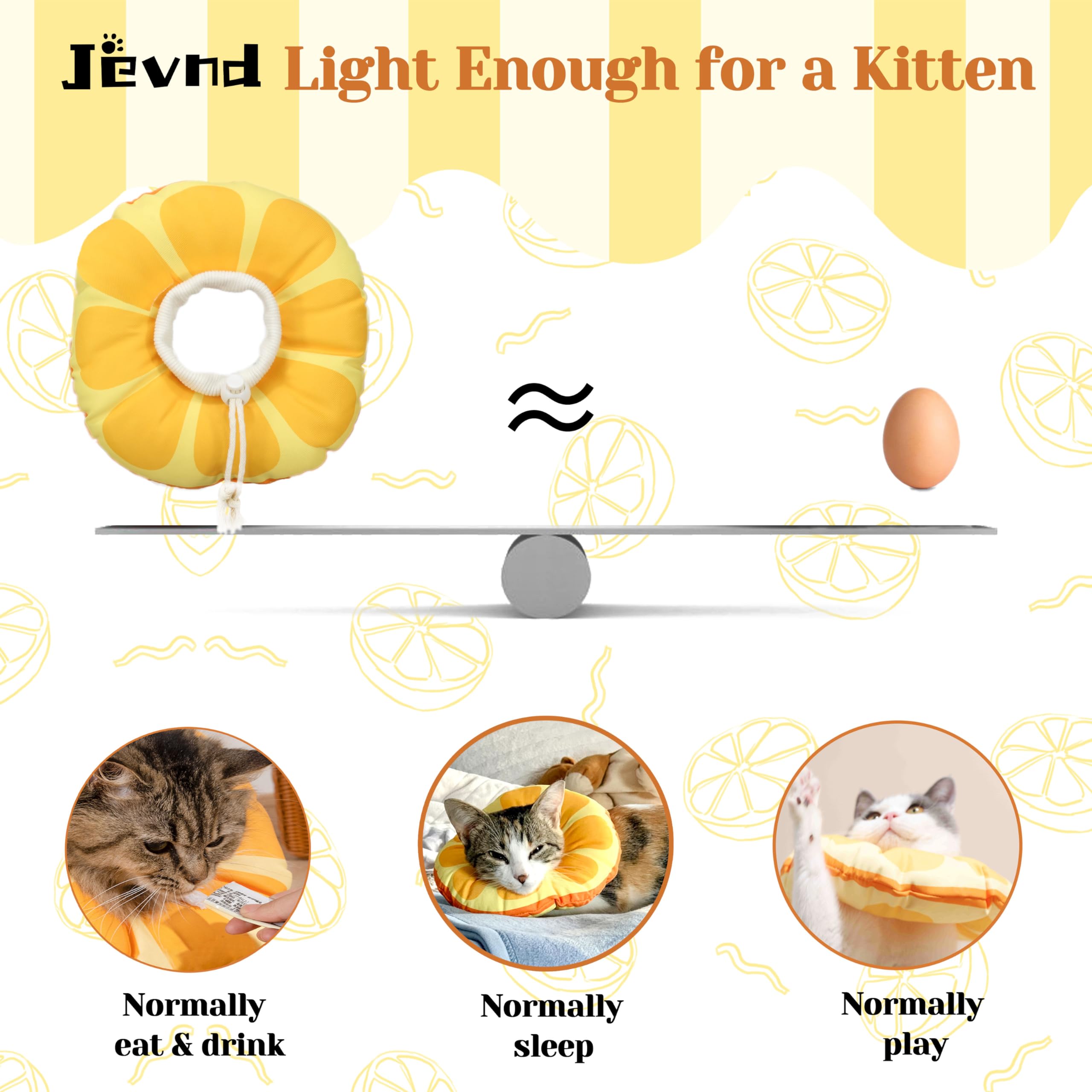 Jevnd donut neck cover on kitten highlights protective recovery design.
