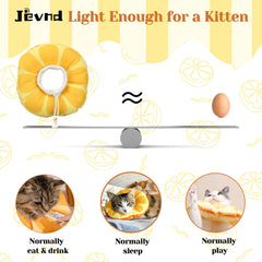Jevnd donut neck cover on kitten highlights protective recovery design.