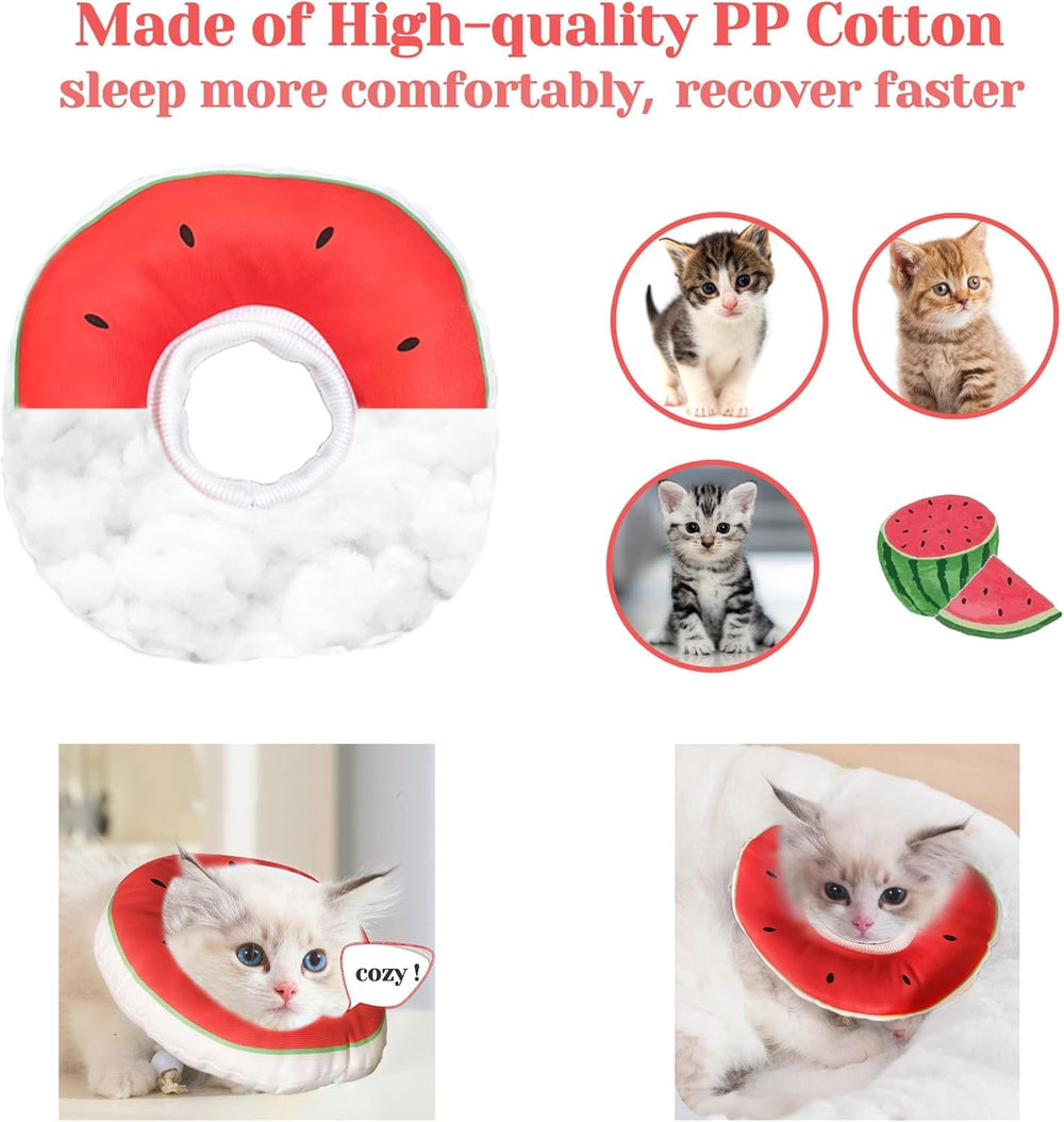 Jevnd Kitten Cone during eat time demonstrates unobstructed meals