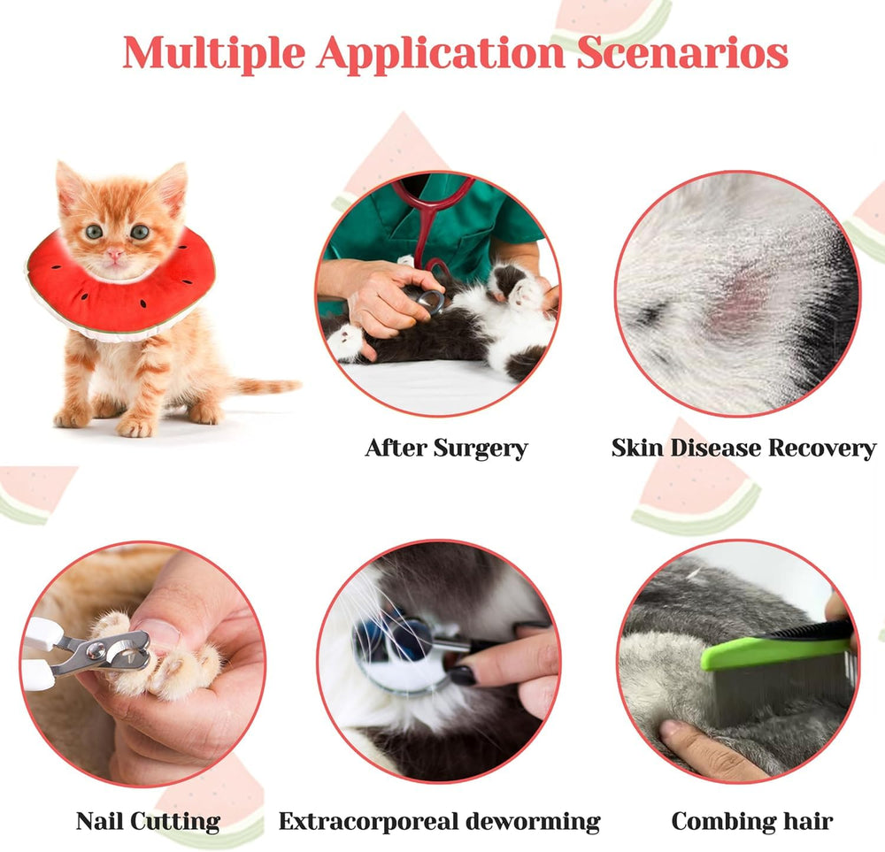 Jevnd Kitten Cone aids nail trims and baths with protected wounds