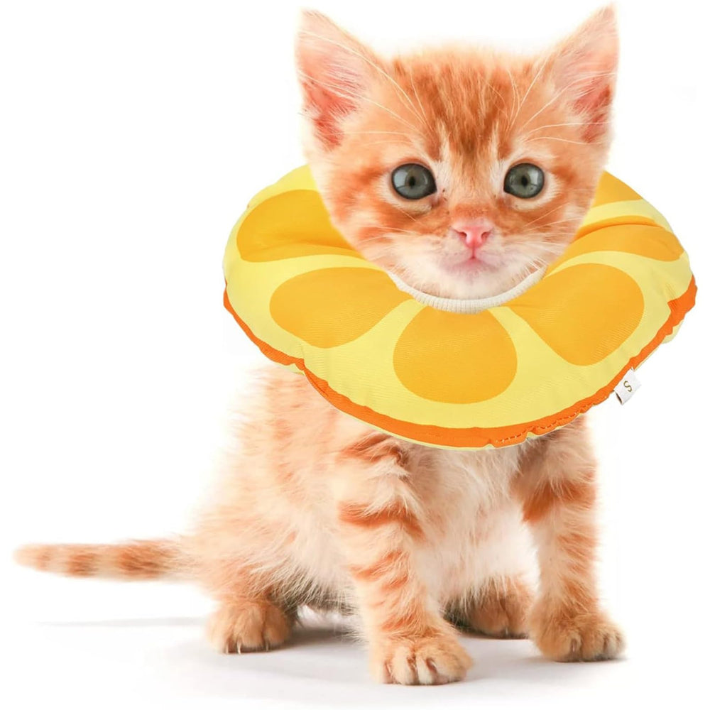Jevnd kitten cone soft collar closeup for comfortable recovery.