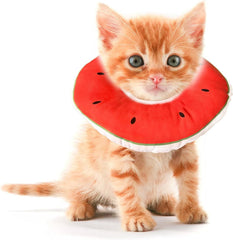 Jevnd Kitten Cone Watermelon S on kitten, gentle post-use protection