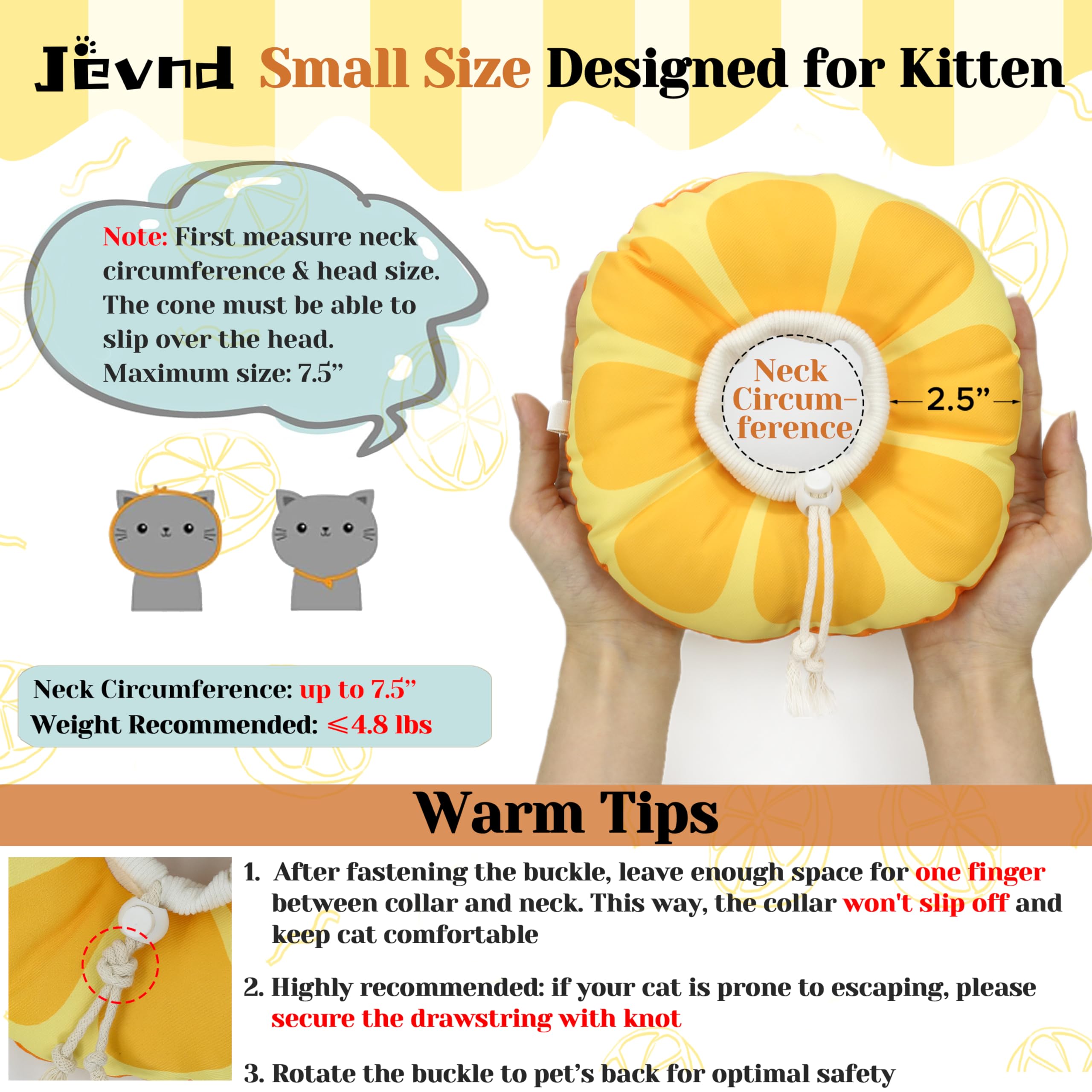 Jevnd kitten cone worn by pet shows secure fit and eating ease.