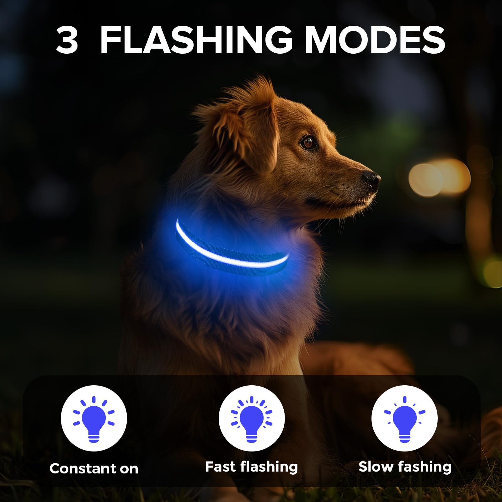 Collar ajustable de Jewyow en azul para perros medianos.