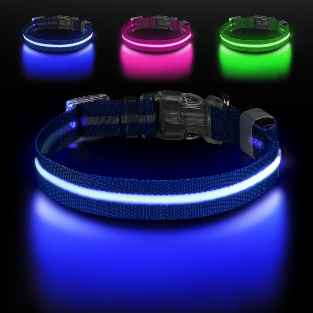Collar Jewyow con luz 360 grados para perros, mayor visibilidad nocturna.