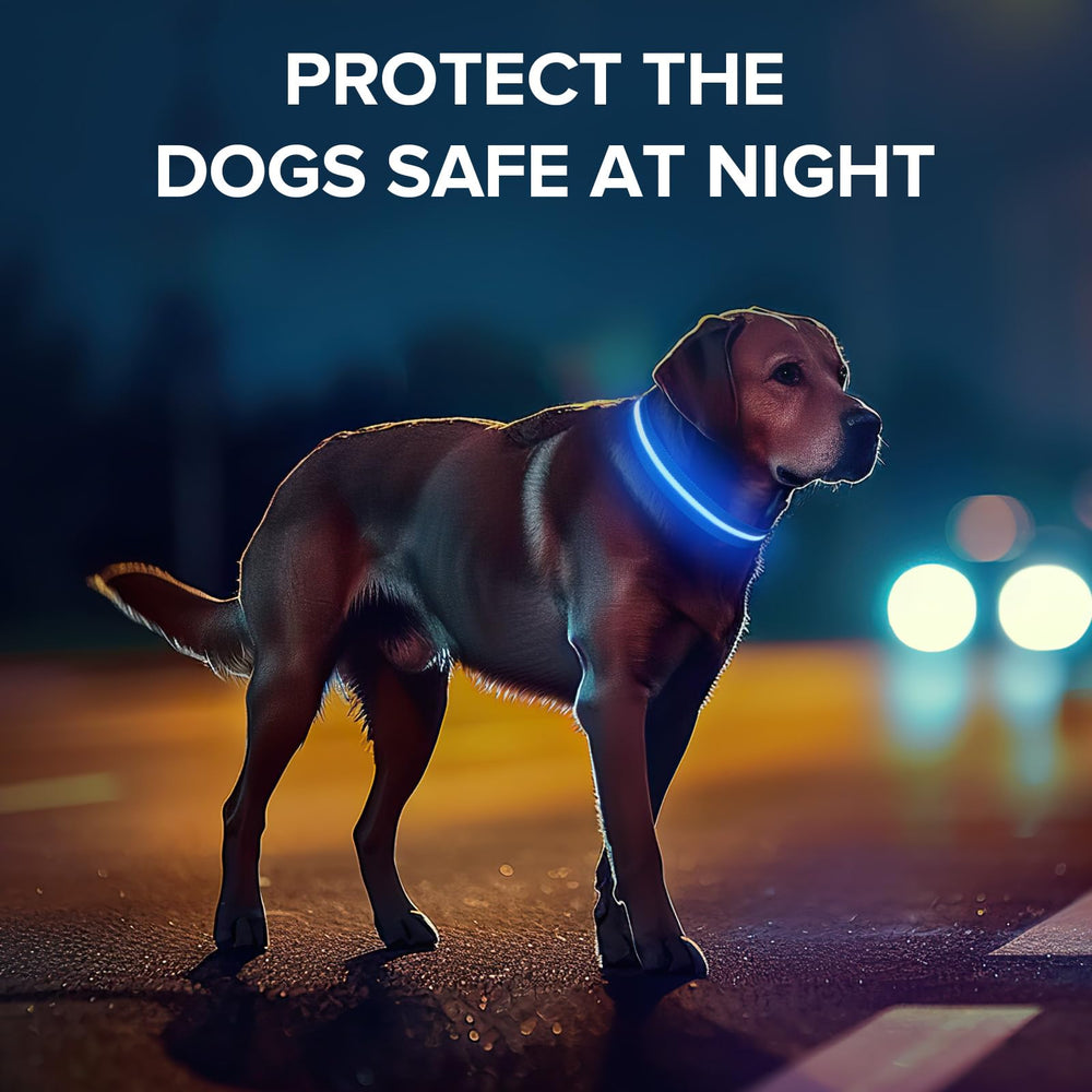 Collar Jewyow para paseos nocturnos con alta visibilidad.