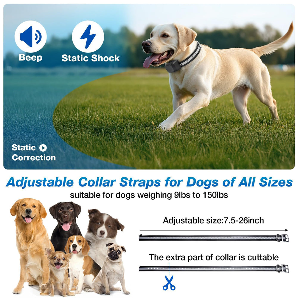 Jewyow collar emits tone and shock for guided training.