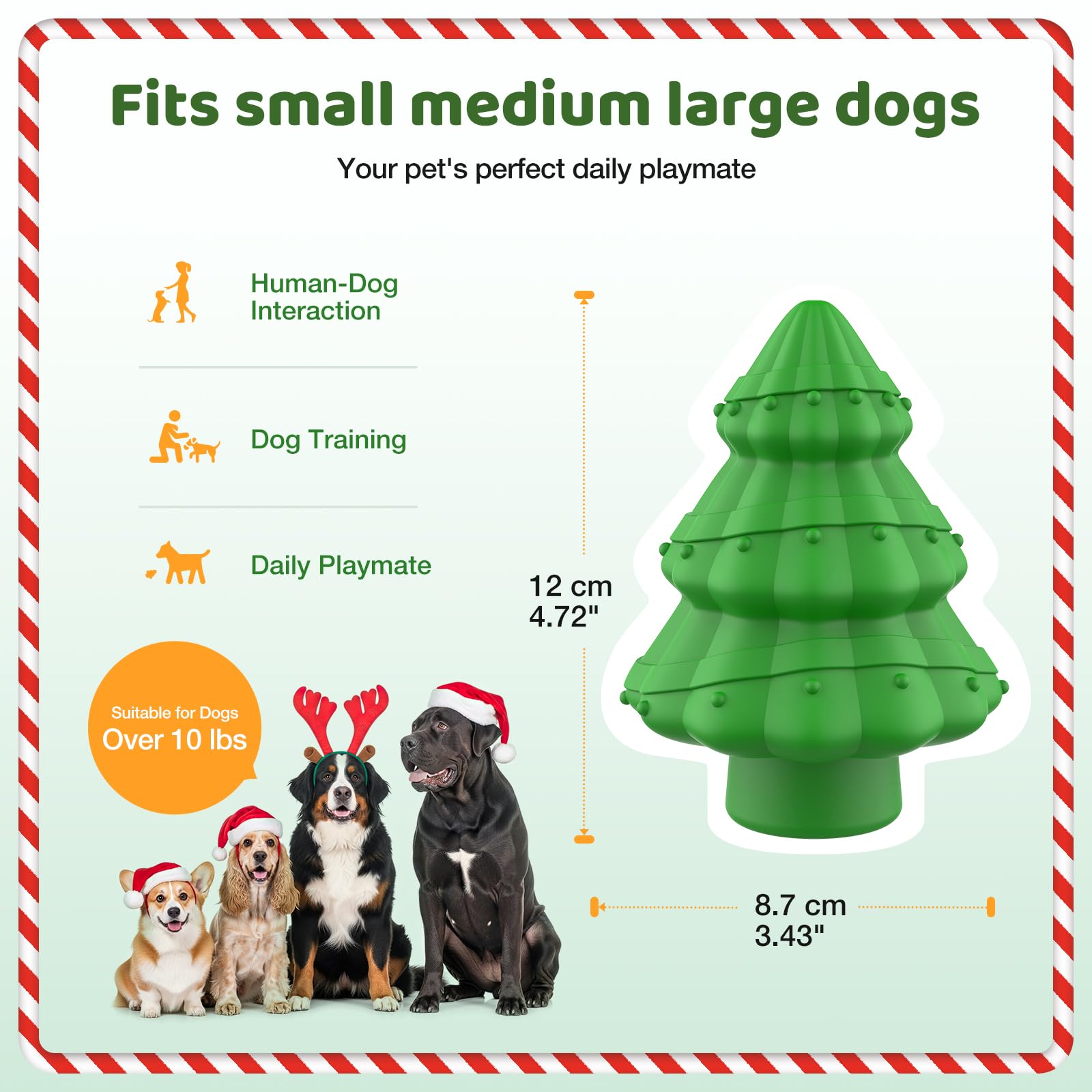 Jewyow dog playtime training image demonstrates healthy chewing habits.