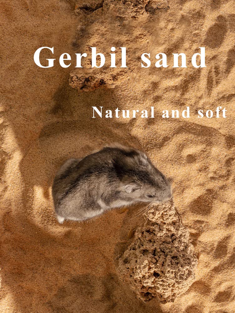 JFWOD sand provides moisture absorption for swift drying