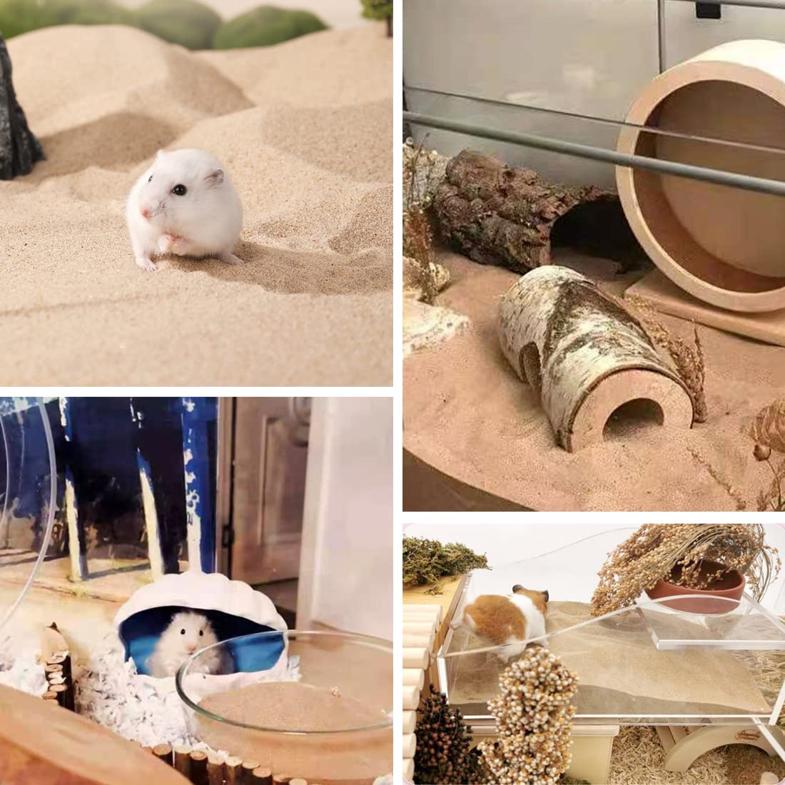 JFWOD hamster relaxing in sand, promoting calm sessions