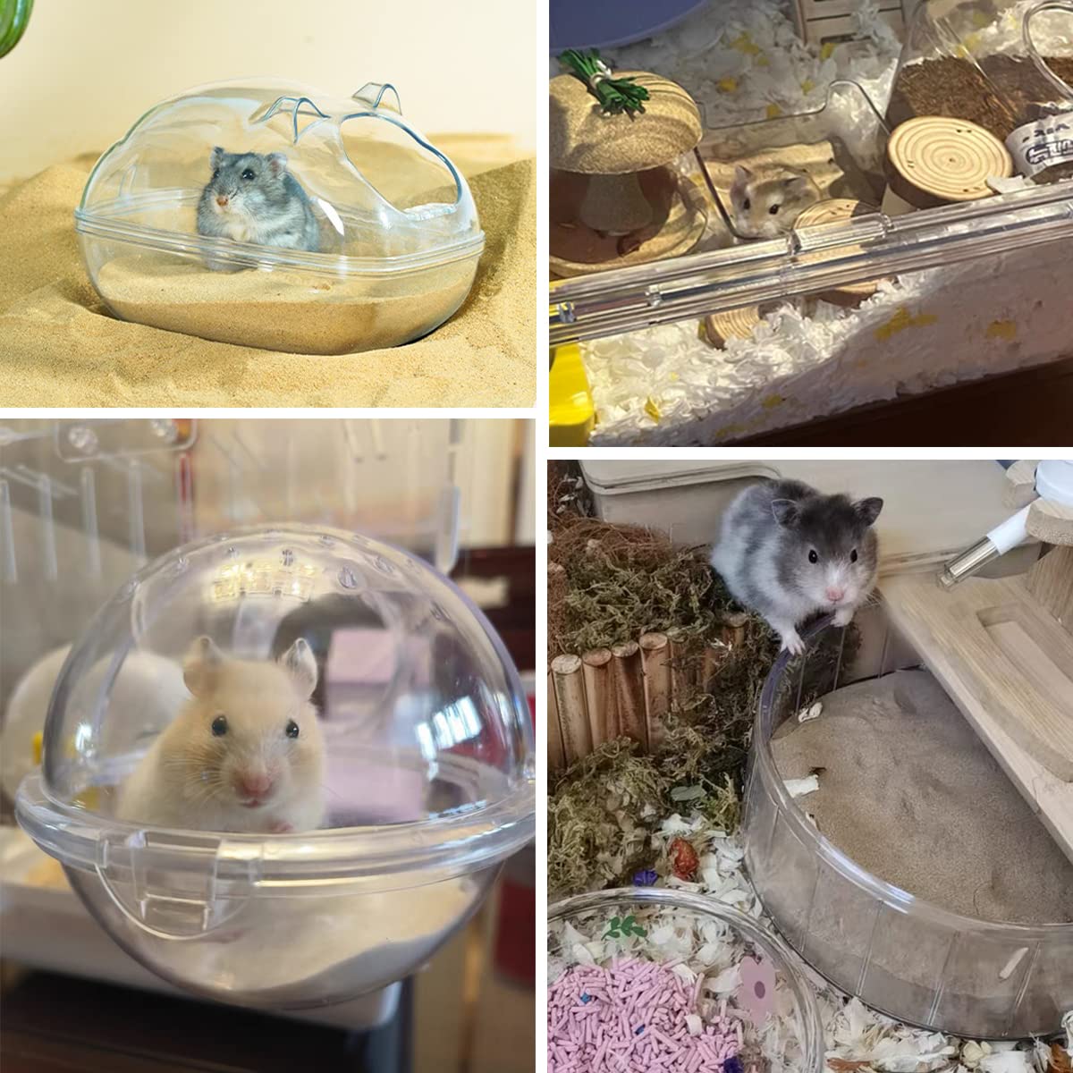 JFWOD sand suitable for hamsters and gerbils during baths