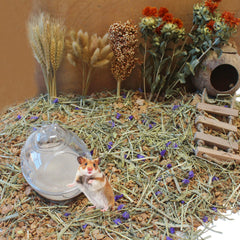 JFWOD bath sand tub setup showing neat, easy bathing