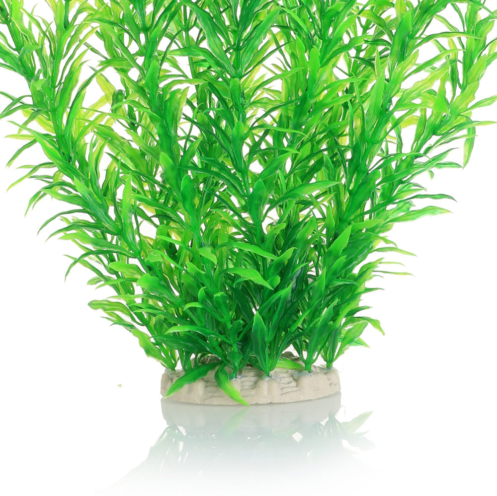 Jihaqua tall greenery creates natural tank corners and depth