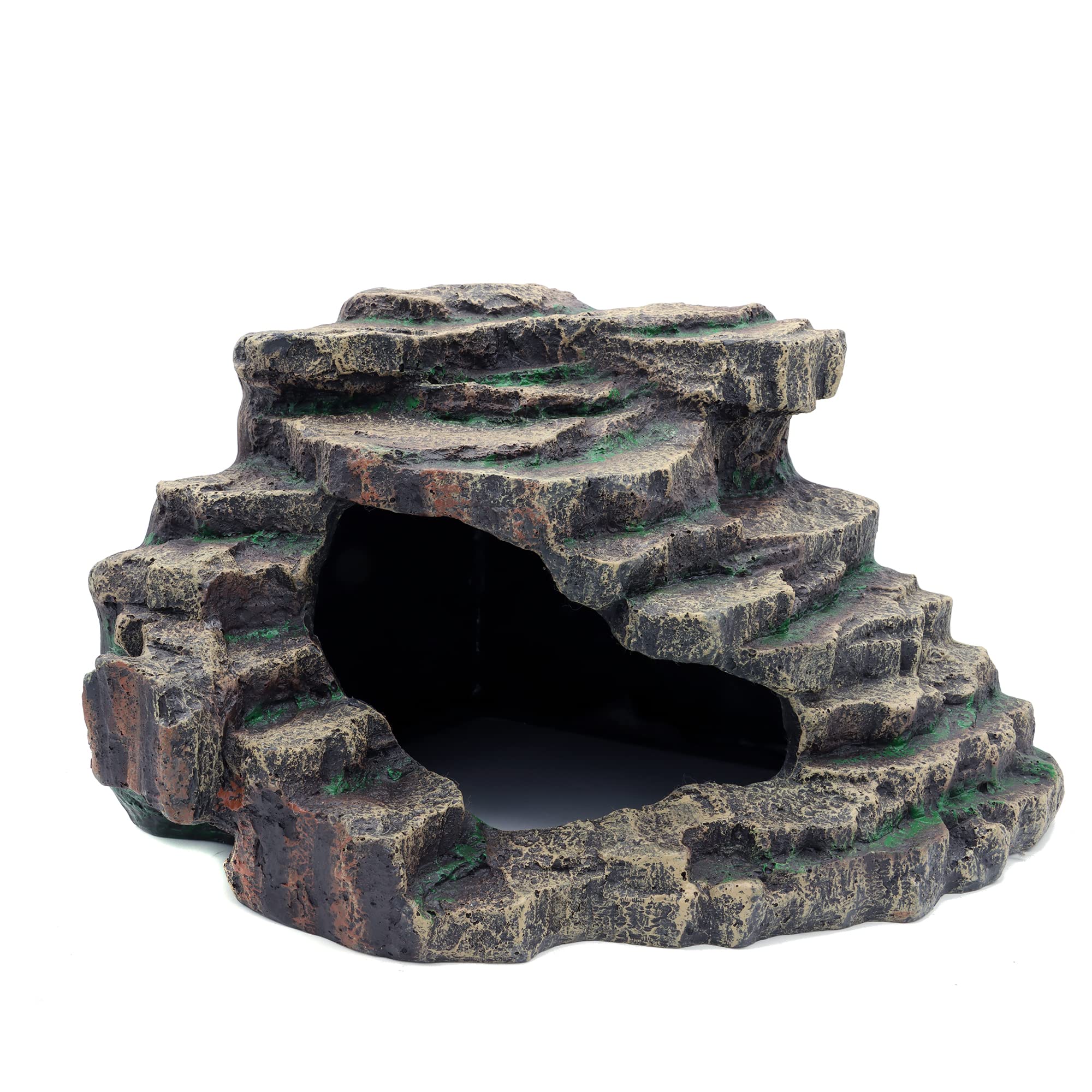 JIHAQUA Extra-large 10x10x8 inches provides ample space for larger reptiles.