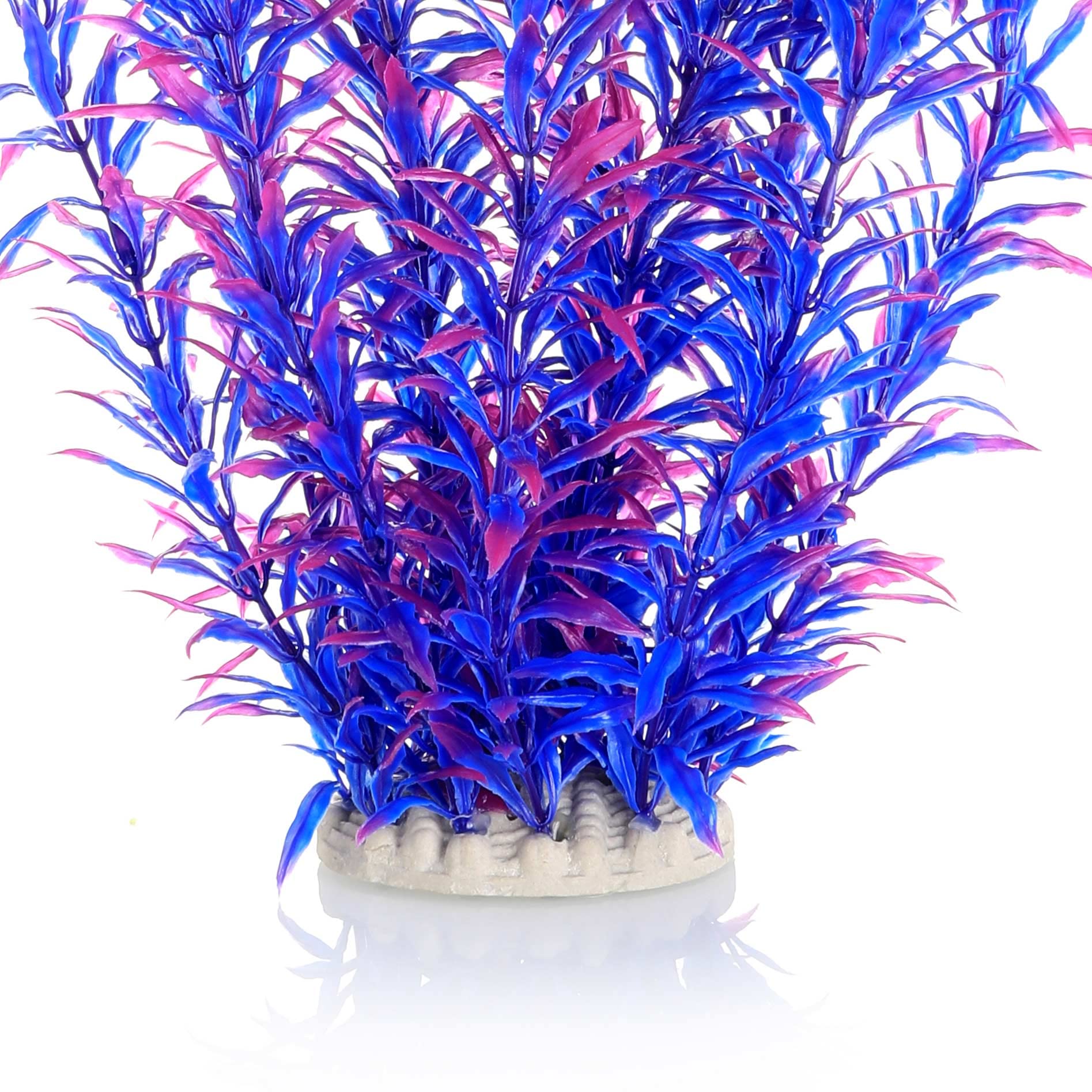 JIHAQUA heavy-base plant ensures stability in aquariums and terrariums