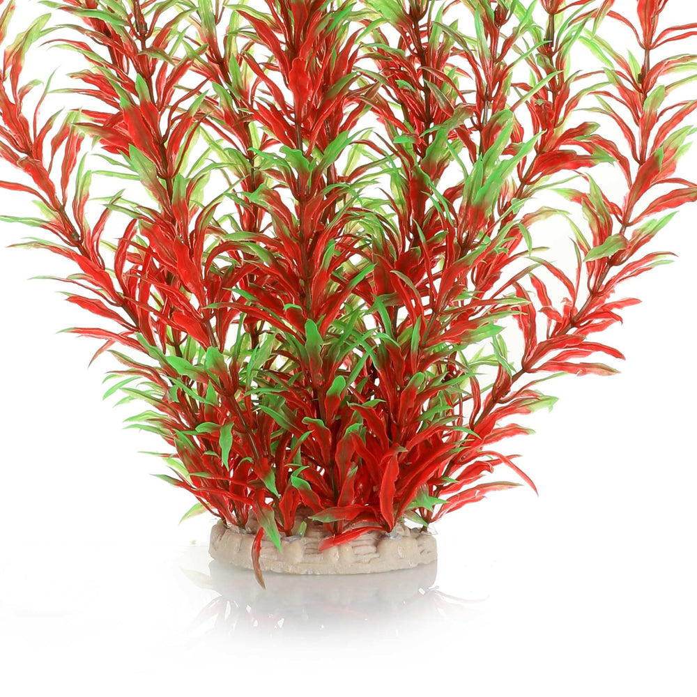 JIHAQUA lifelike plastic plant ornament adds natural aesthetics without stressing fish.