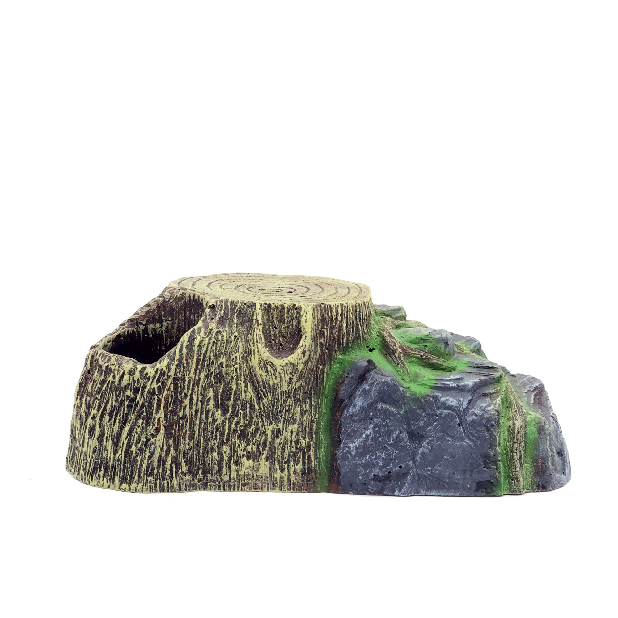 JIHAQUA habitat scene demonstrates versatile use for reptiles or small mammals.