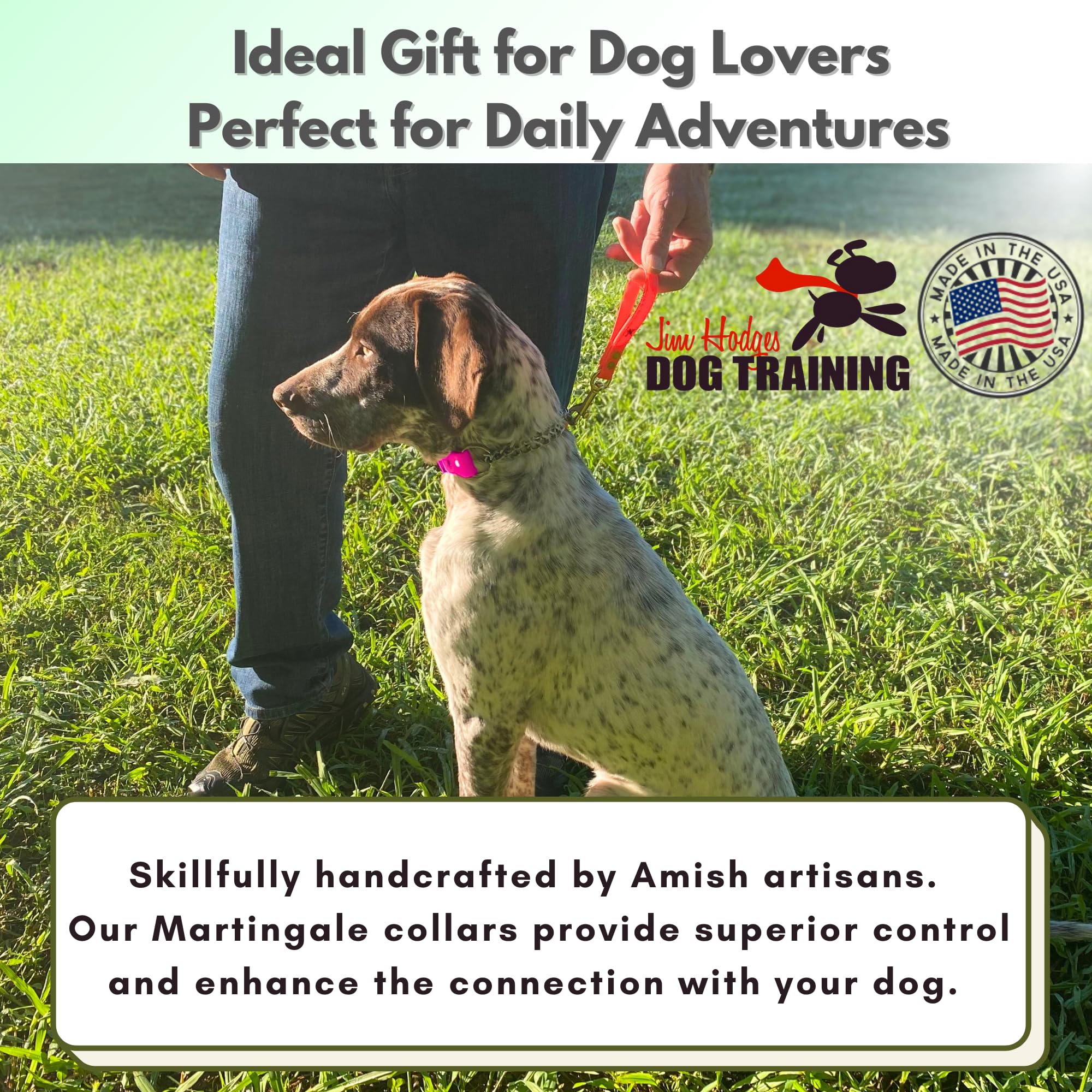 Jim Hodges Dog Training easy to clean weatherproof collar for year-round use.