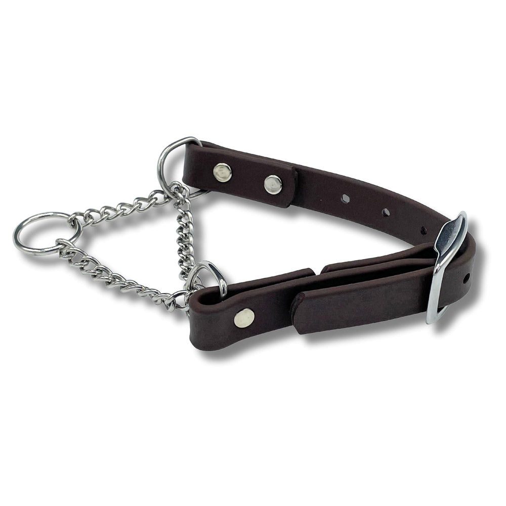 JIM HODGES DOG TRAINING martingale collar close-up buckle showing durable stainless steel hardware
