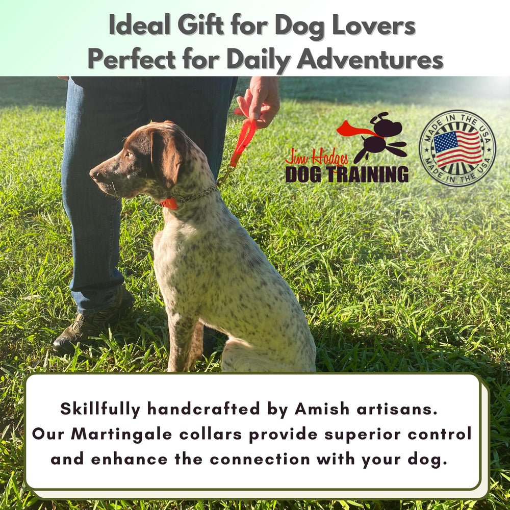 JIM HODGES DOG TRAINING martingale collar small orange color options shown for diverse dogs