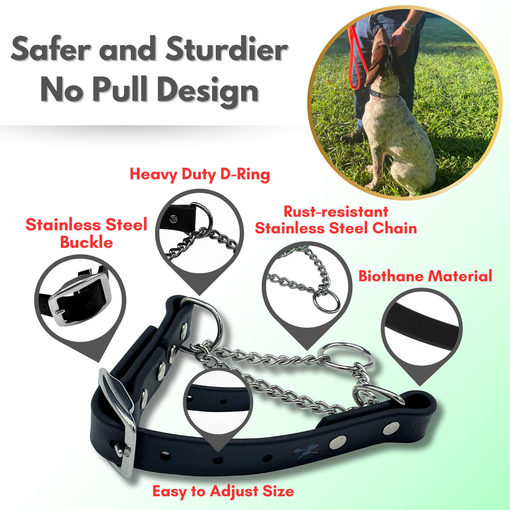 JIM HODGES DOG TRAINING no-pull design aids training progress during walks