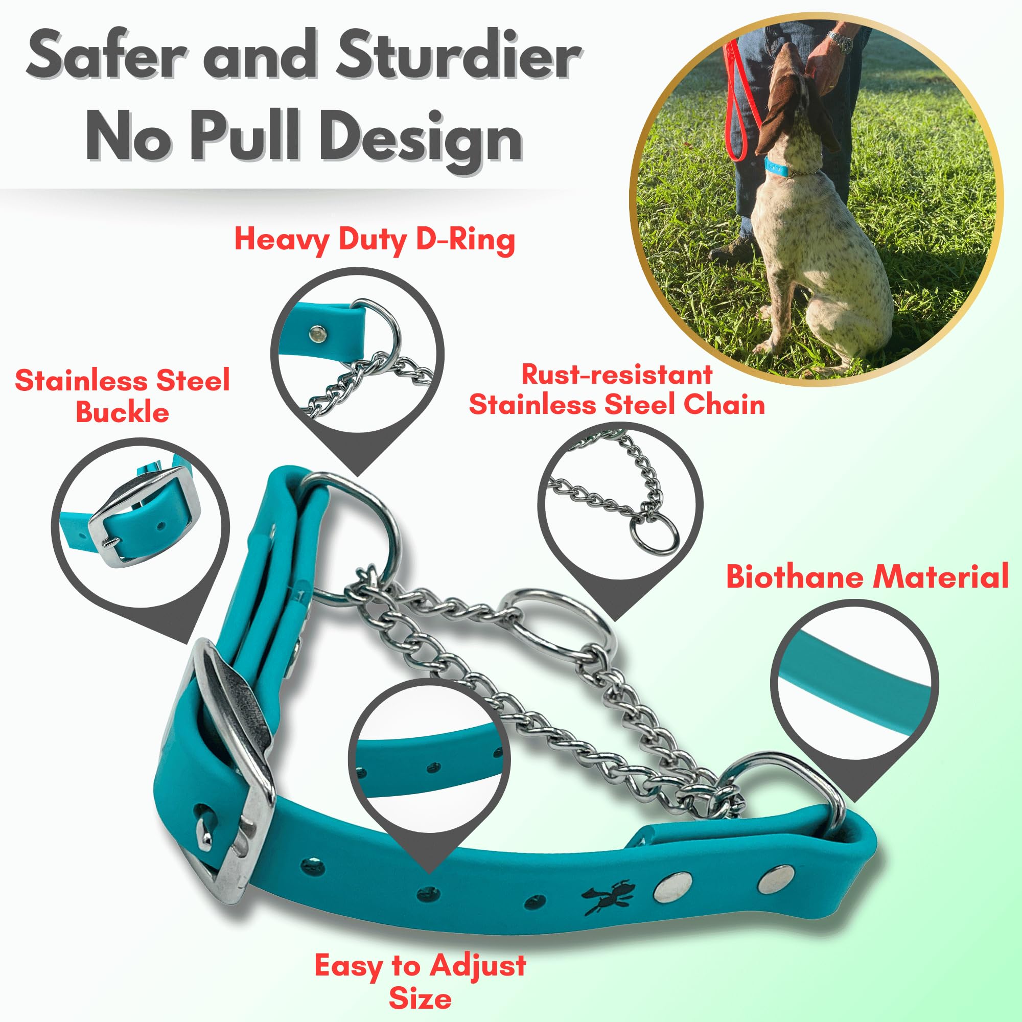 Jim Hodges Dog Training no-pull design aids quick communication during training.