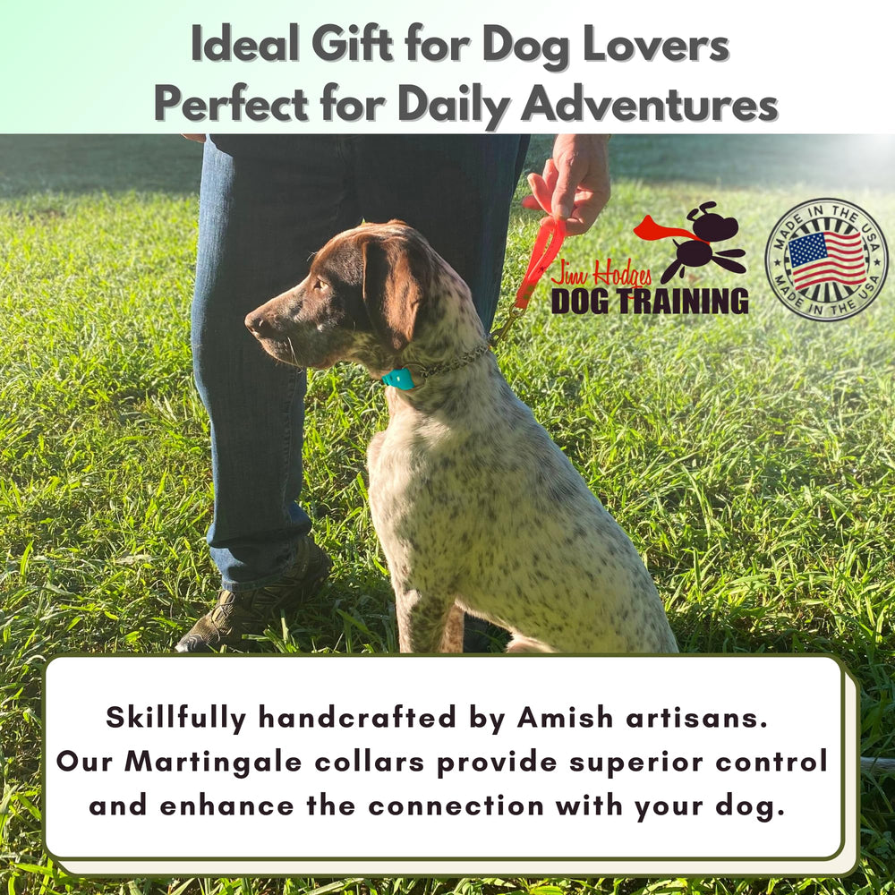JIM HODGES DOG TRAINING professional-grade gear trusted by trainers