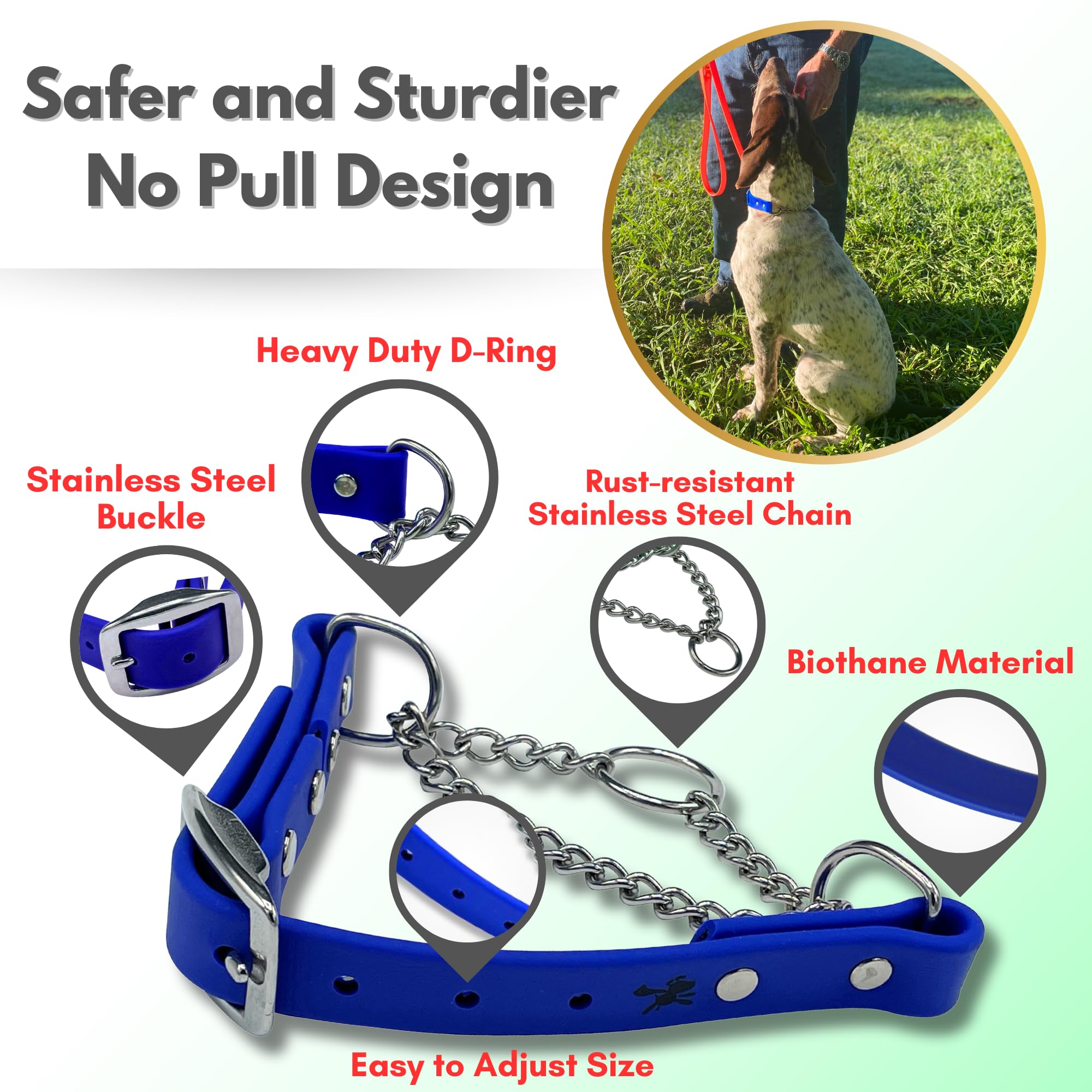 Jim Hodges Dog Training small size fit demonstrates secure no-pull communication during training.