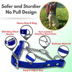 Jim Hodges Dog Training small size fit demonstrates secure no-pull communication during training.