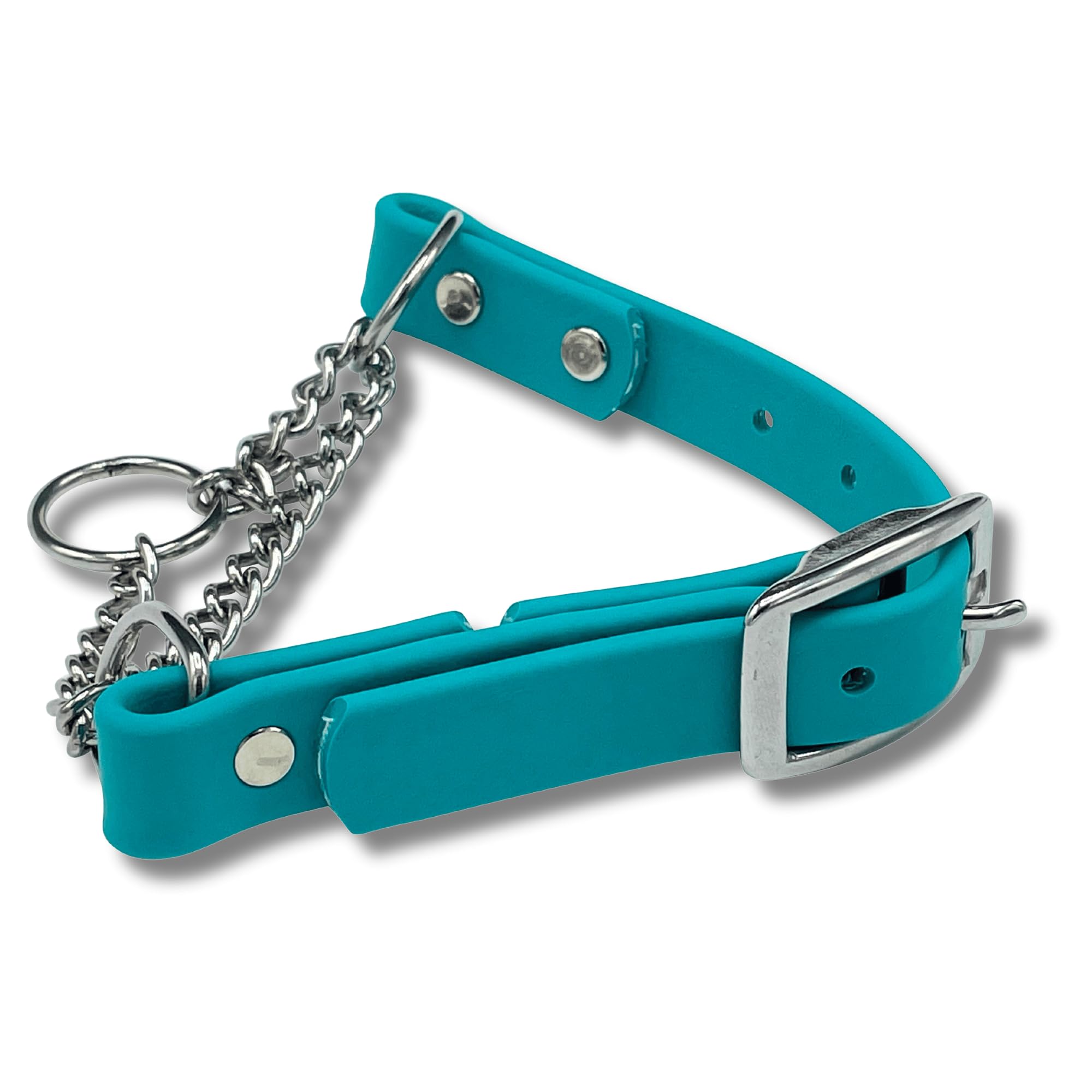 Jim Hodges Dog Training teal martingale collar XXS demonstrates safe everyday wear for small breeds.