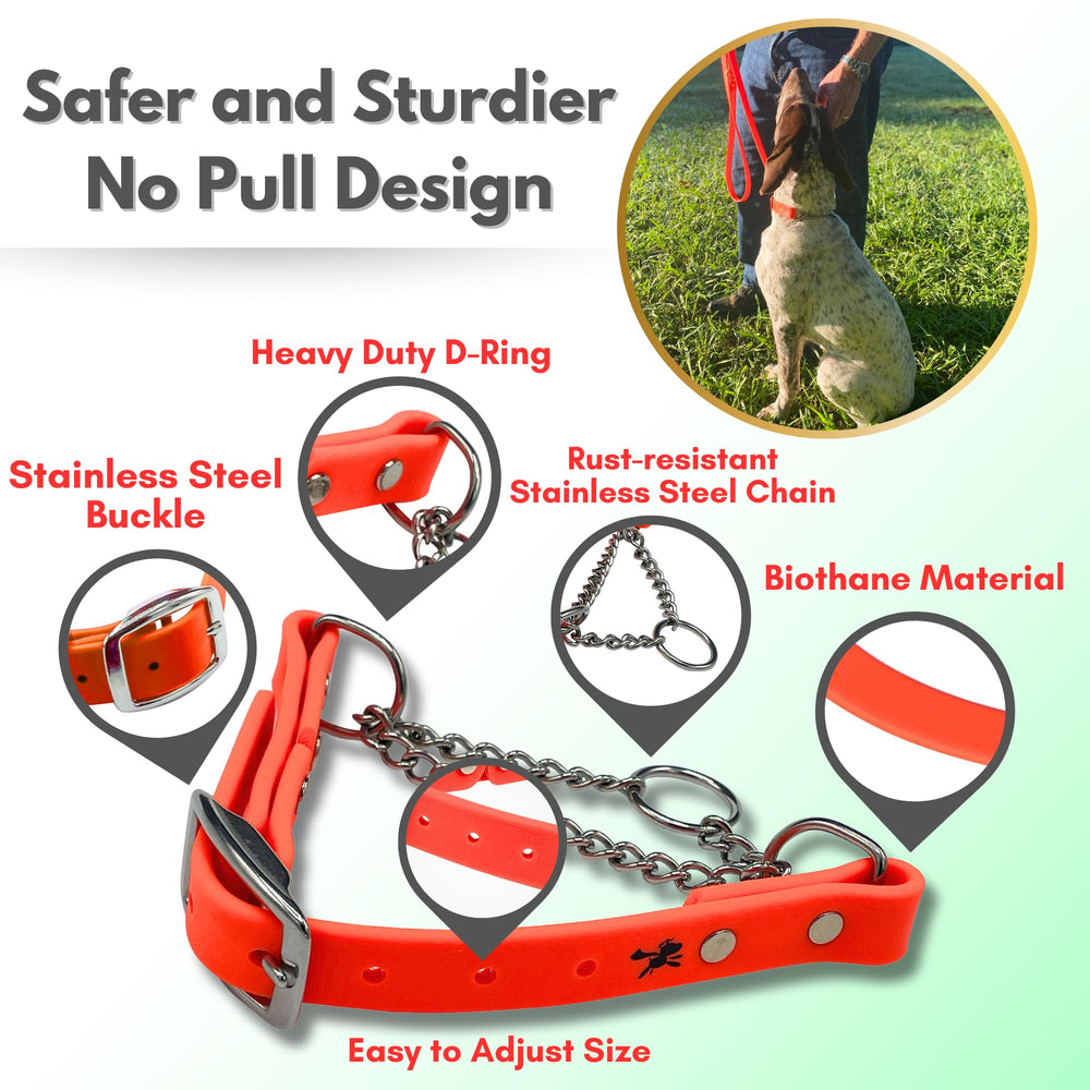 JIM HODGES DOG TRAINING martingale collar training session scene emphasizes safe no-pull communication