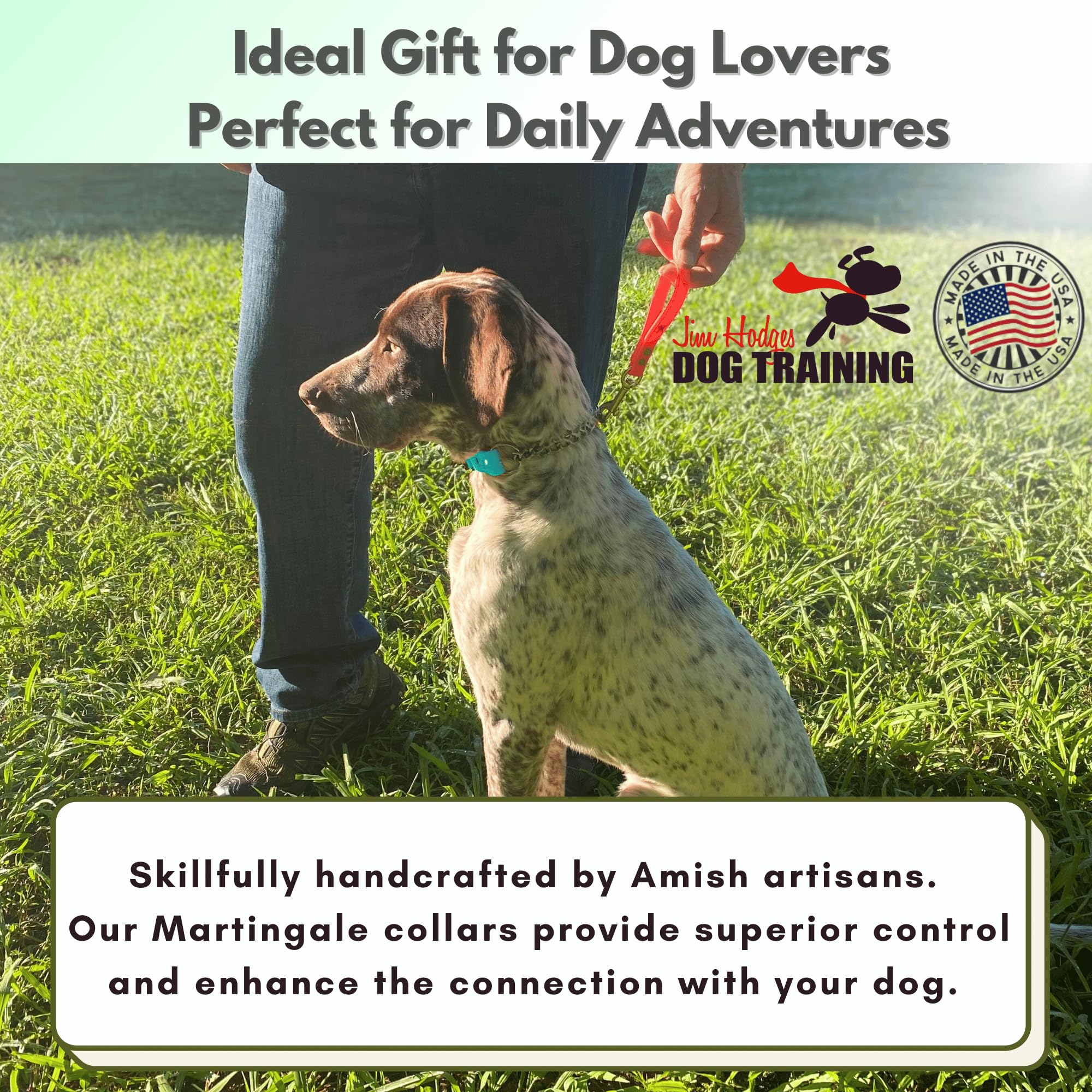 Jim Hodges Dog Training trainer-ready setup shown on a puppy during practice.