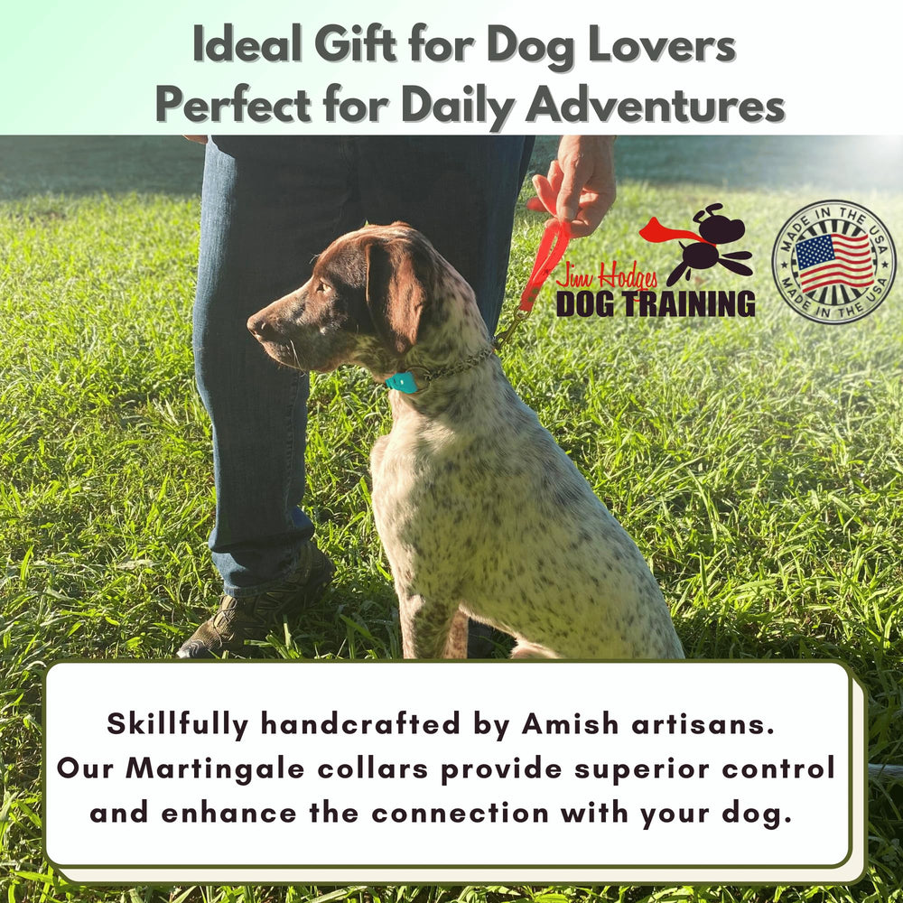 Jim Hodges Dog Training trainer-ready setup shown on a puppy during practice.