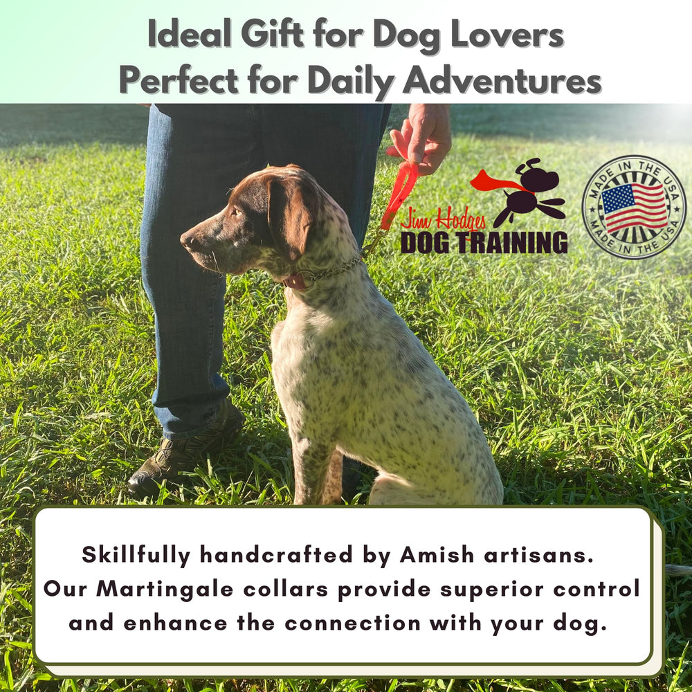 JIM HODGES DOG TRAINING weatherproof odorproof waterproof biothane collar field use