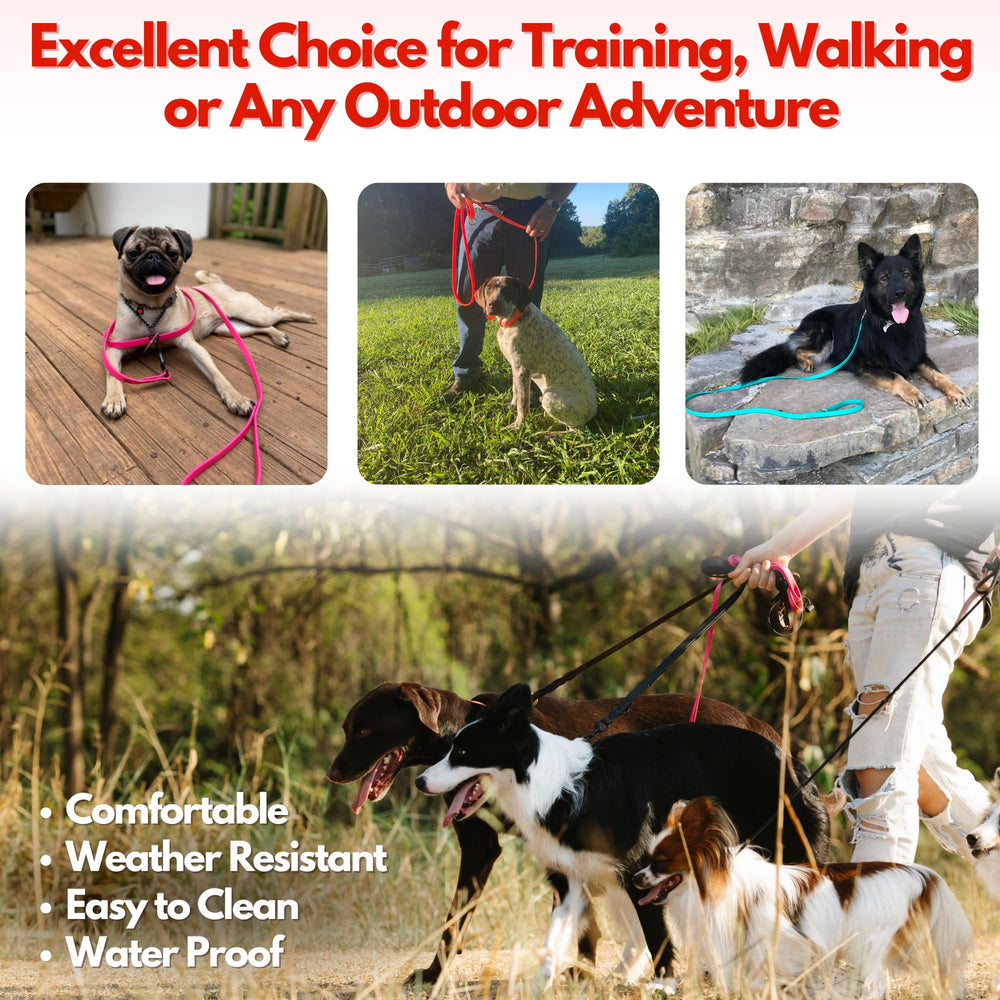 Jim Hodges Dog Training Leash For All Dog Sizes image shows versatile training lead.