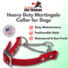 Jim Hodges dog collar with stainless steel hardware resists rust for longevity