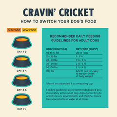 Jiminy's cricket kibble close-up reveals texture and fiber-rich formula supporting gut-friendly digestion.