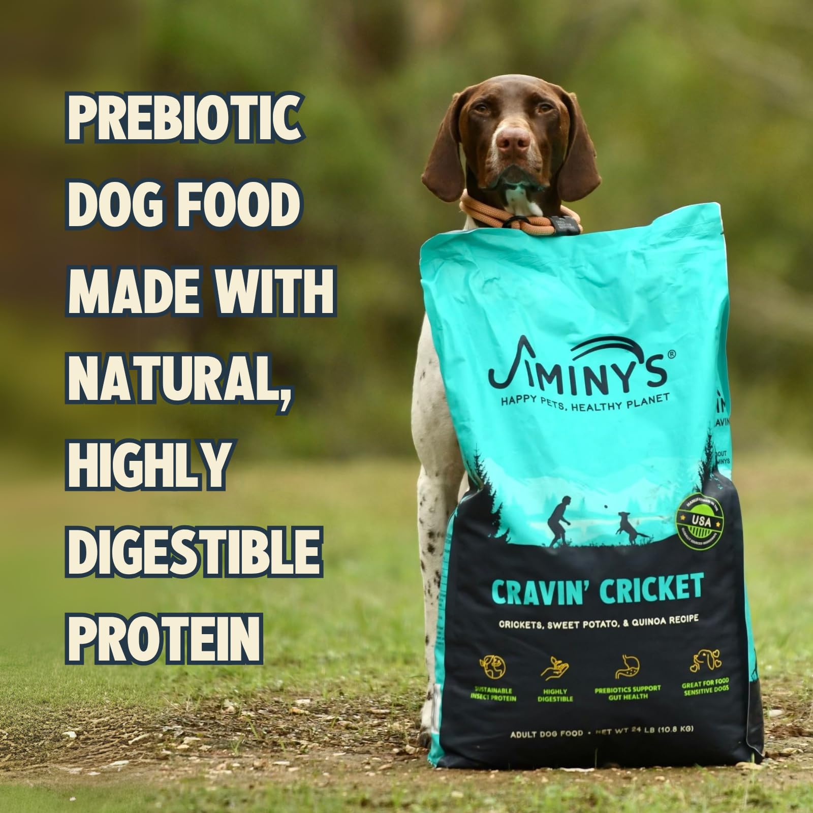 Jiminy's Cravin' Cricket meal-time shot conveys a calm, focused feeding routine.