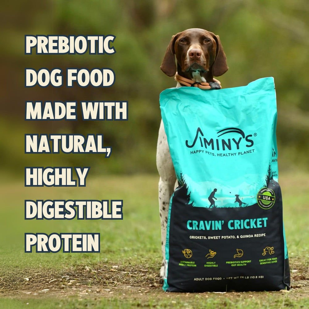Jiminy's Cravin' Cricket meal-time shot conveys a calm, focused feeding routine.